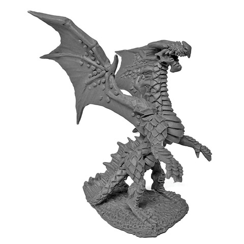 Fire Dragon Hatchling